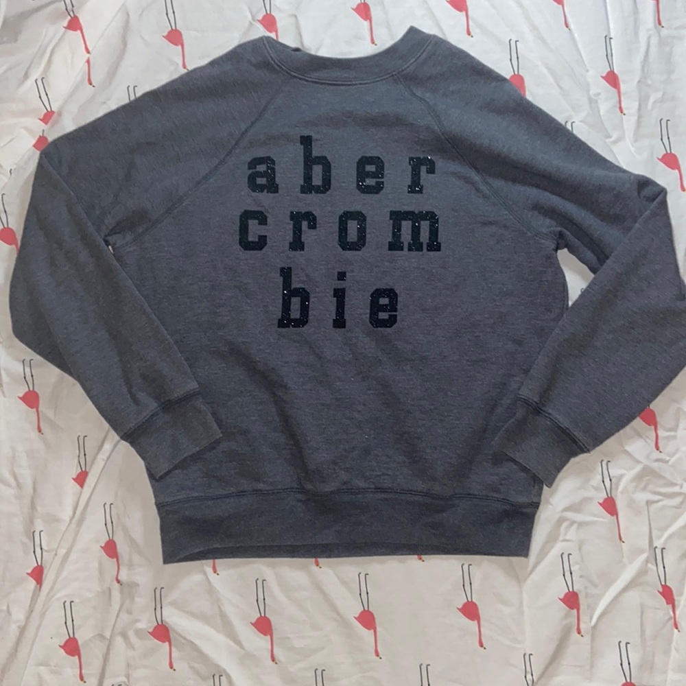 Abercrombie Kids Gray Sweatshirt